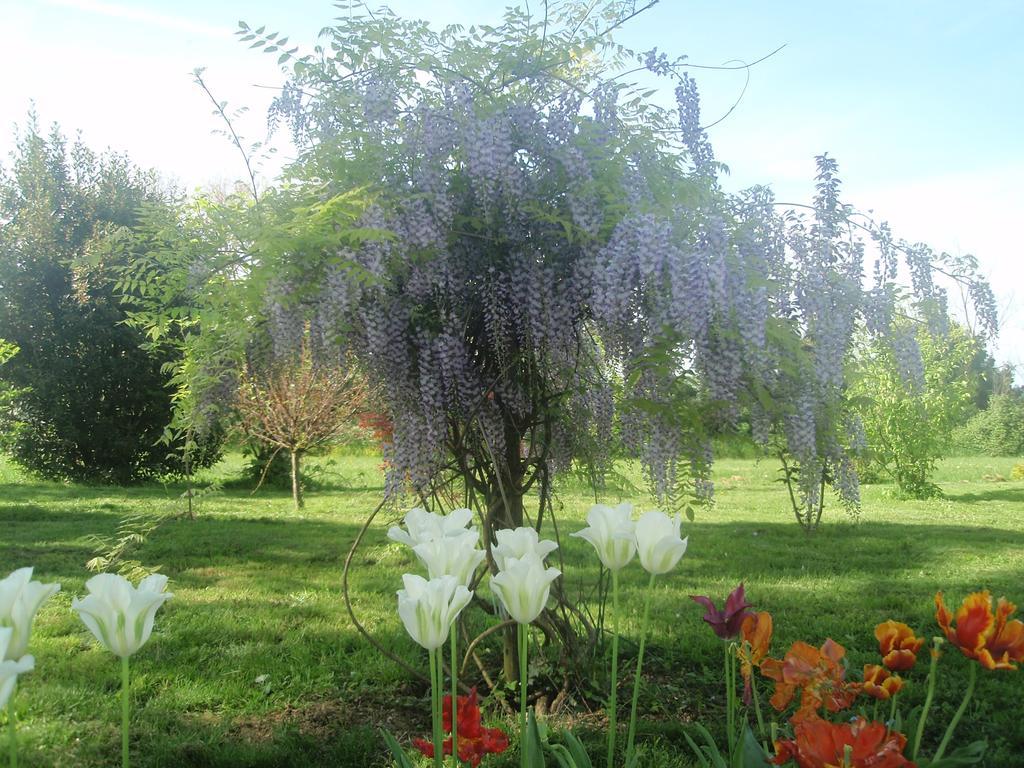 Hotel Domaine Mongiron Nérigean Zewnętrze zdjęcie