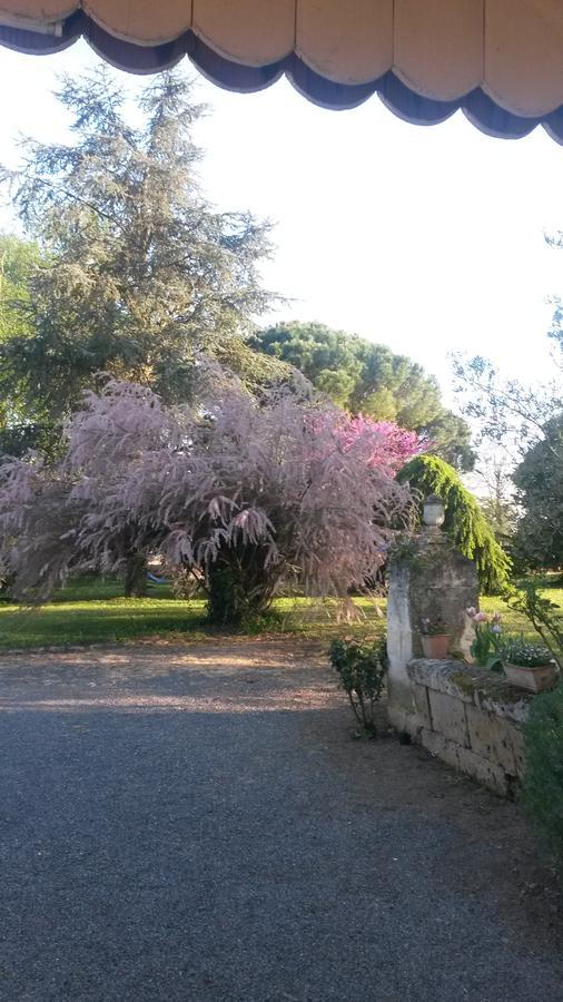 Hotel Domaine Mongiron Nérigean Zewnętrze zdjęcie