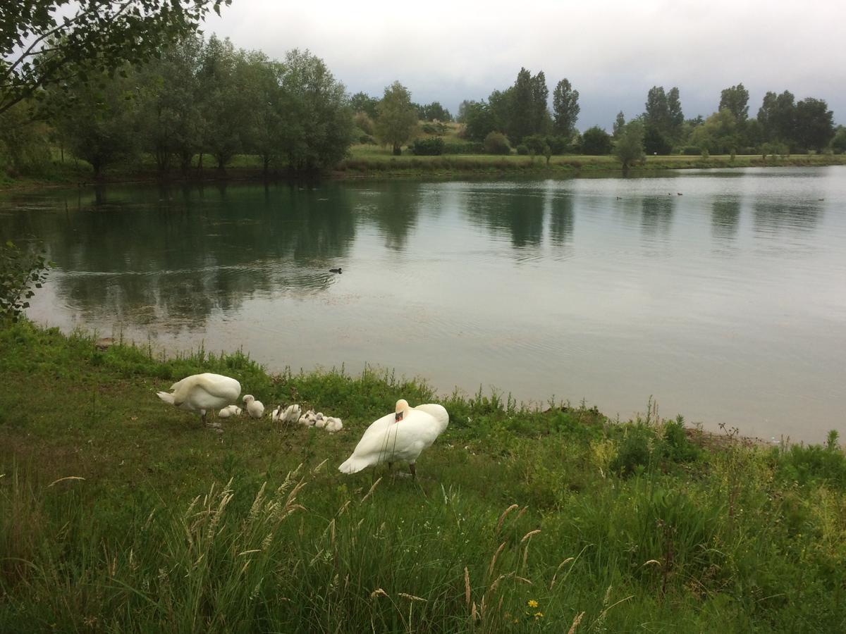 Hotel Domaine Mongiron Nérigean Zewnętrze zdjęcie